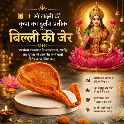 🕉️ सिद्ध काली बिल्ली की जेर | 100% असली व प्रमाणित 🕉️
